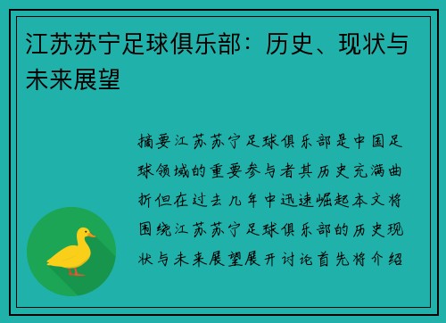江苏苏宁足球俱乐部：历史、现状与未来展望