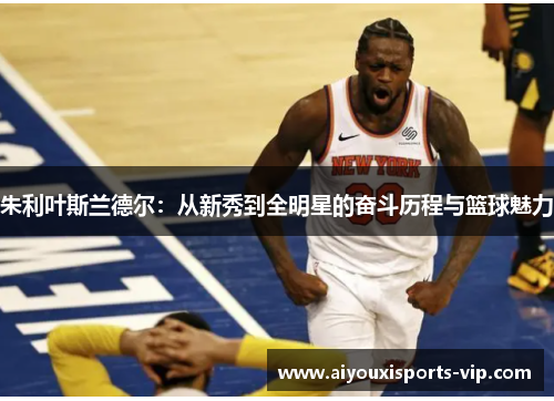 朱利叶斯兰德尔：从新秀到全明星的奋斗历程与篮球魅力